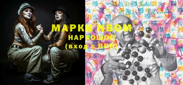гидра Надым