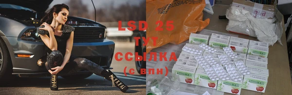 шишки Наволоки