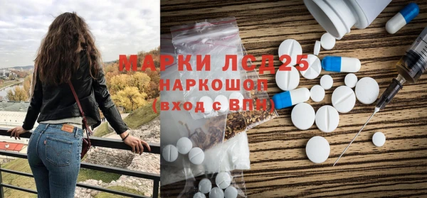 гидра Надым