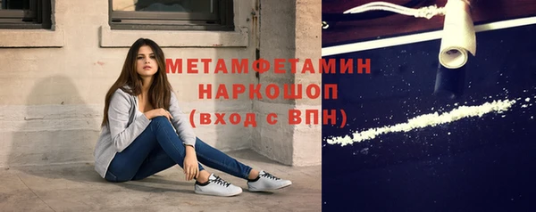 гидра Надым
