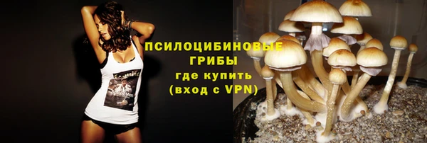 гидра Надым