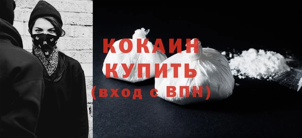 гидра Надым