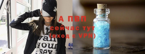 гидра Надым