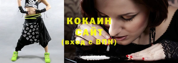 шишки Наволоки