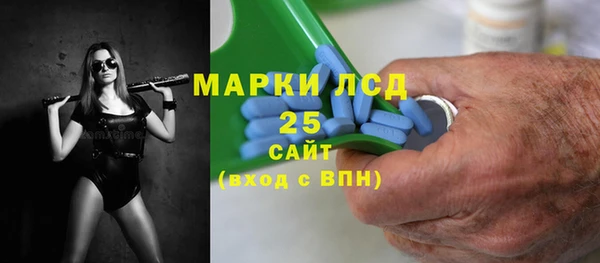 гидра Надым