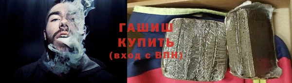 гидра Надым