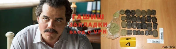 гидра Надым