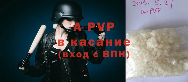 гидра Надым