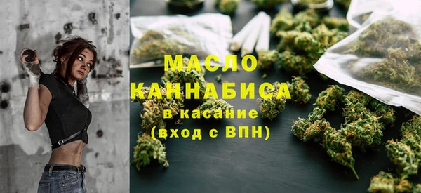 гидра Надым
