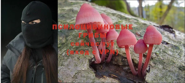 шишки Наволоки