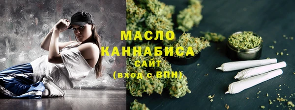 гидра Надым