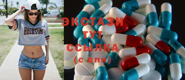гидра Надым