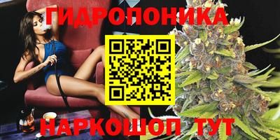 прущие грибы Балаково