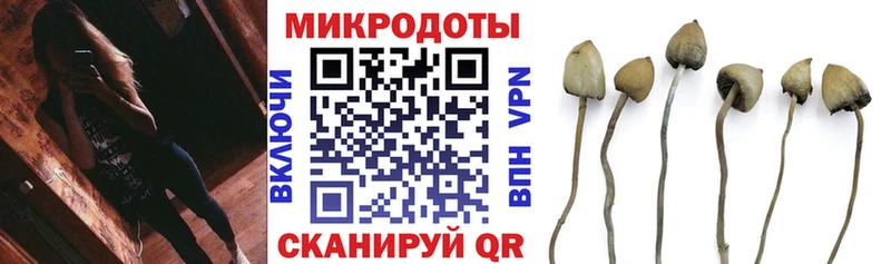 Галлюциногенные грибы Psilocybine cubensis Великий Новгород