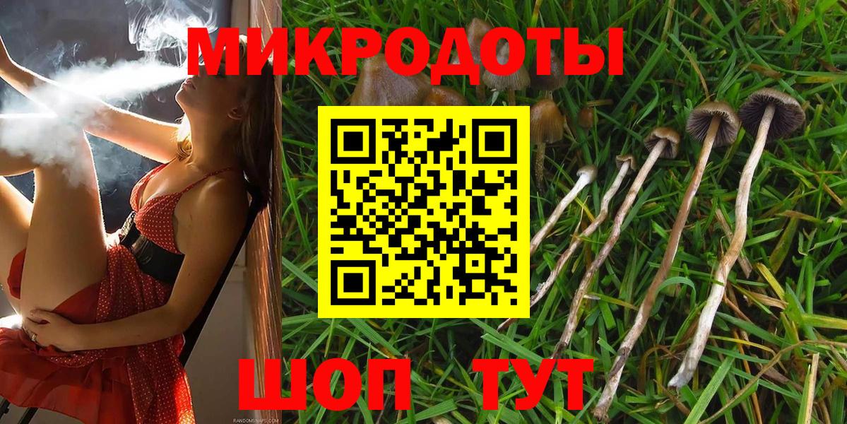 Псилоцибиновые грибы ЛСД Великий Новгород