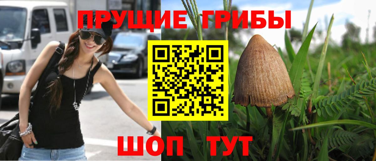 Великий Новгород  Псилоцибиновые грибы MAGIC MUSHROOMS  Вход с VPN 